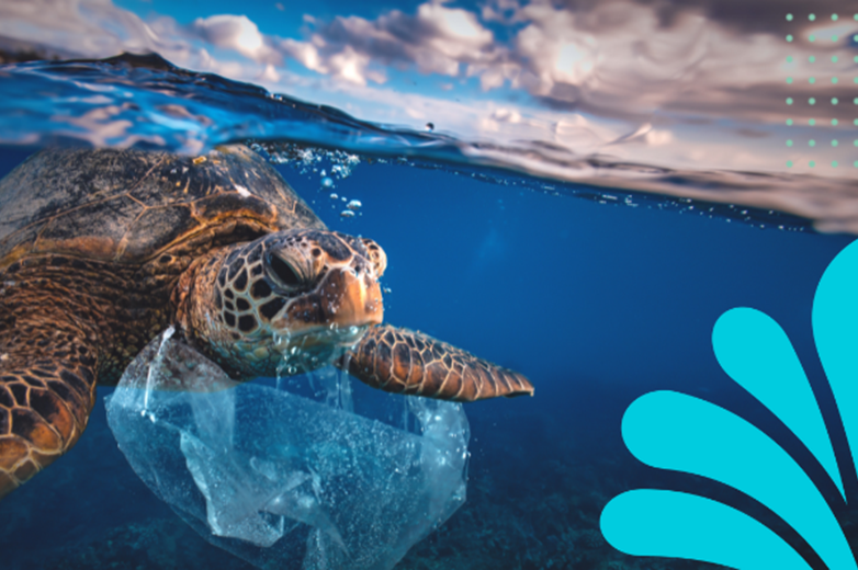 Plastic Pollution: Be Part of the Solution