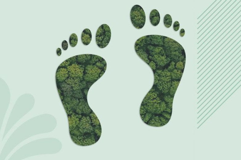 What is Embodied Carbon?
